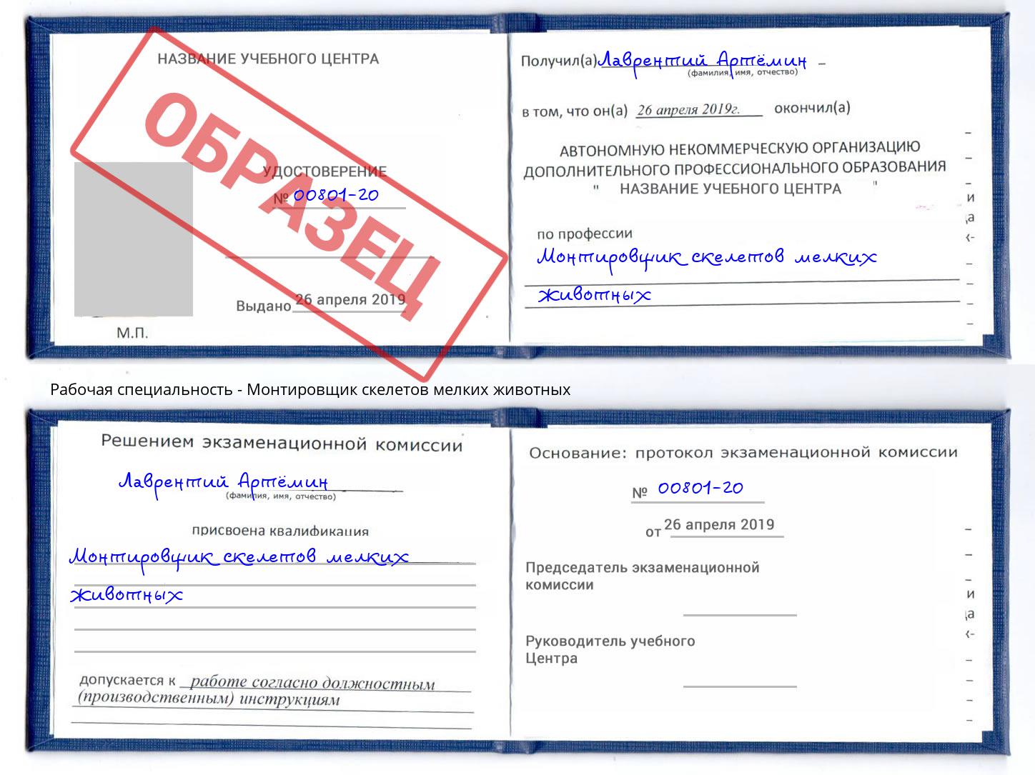 Монтировщик скелетов мелких животных Белгород