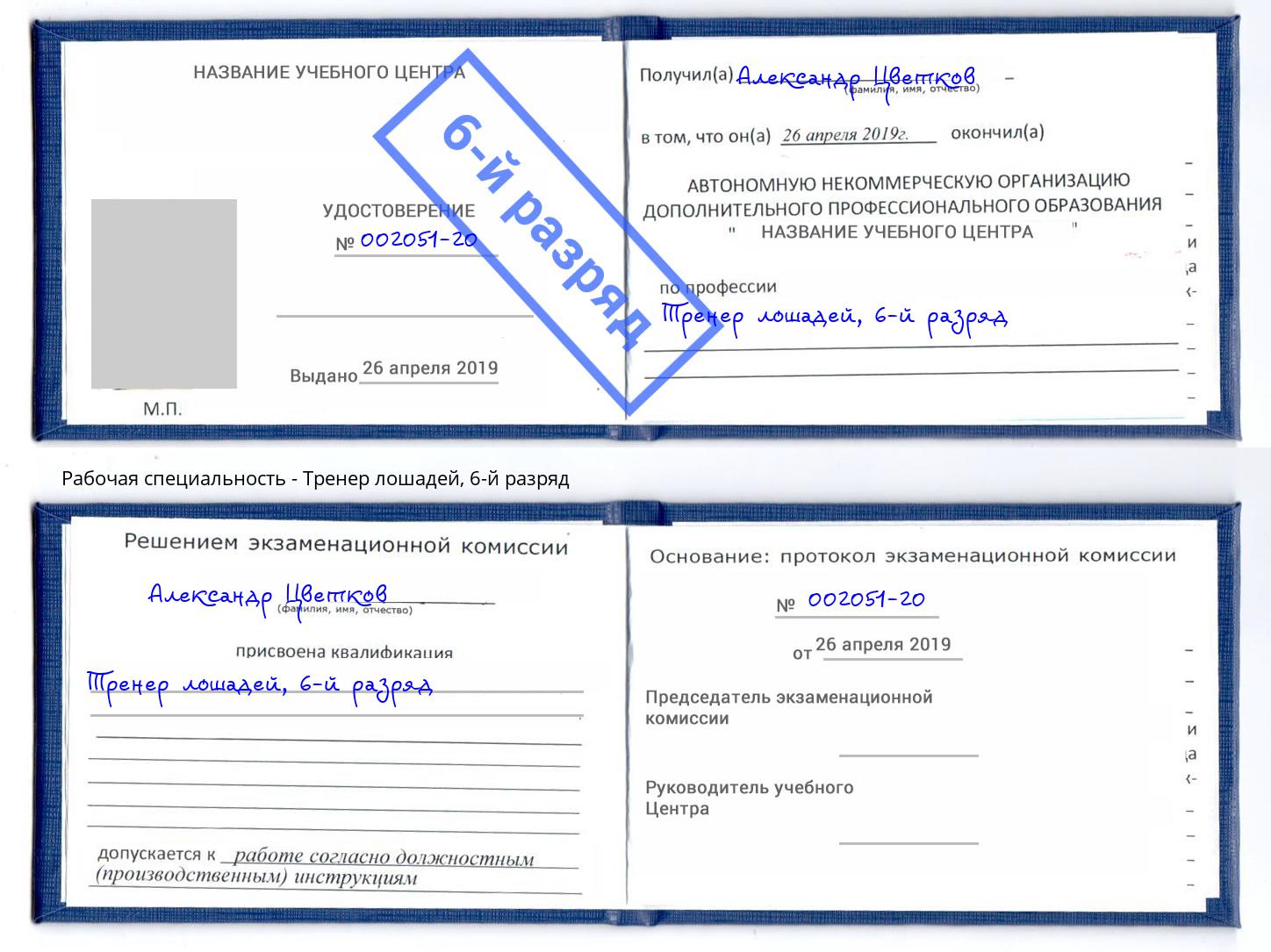 корочка 6-й разряд Тренер лошадей Белгород