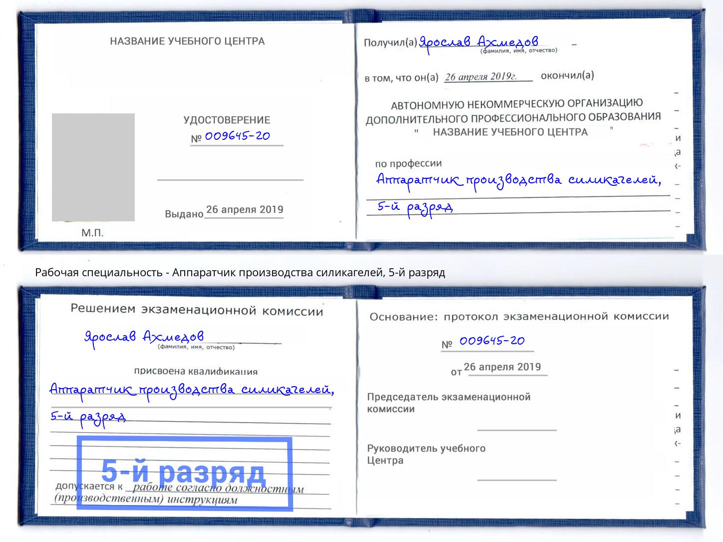 корочка 5-й разряд Аппаратчик производства силикагелей Белгород